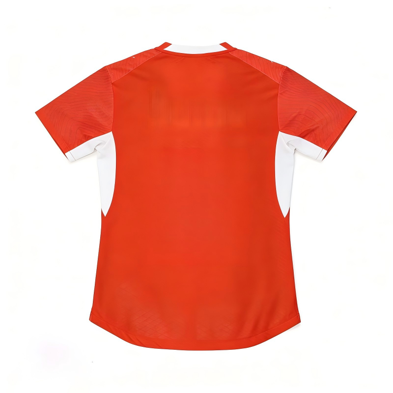 Switzerland Team Soccer Jersey Men Fan Version Training Sportswear